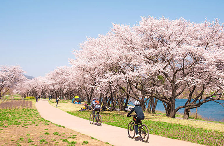 정상적인 시야